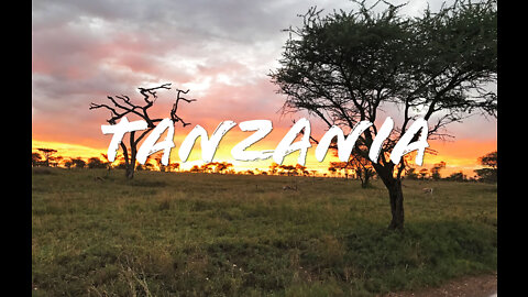 FOODIE || Tanzania - Episode Four (2022)