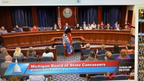 Addressing the Board of Canvassers