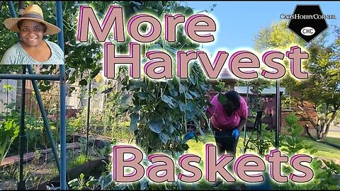 More #garden #Harvest #basket #asmr - #catshobbycorner