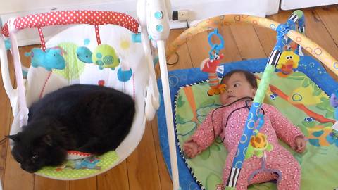 Baby watches in disbelief as cat steals her rocker