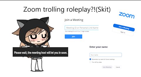 Zoom trolling roleplay! (Skit)