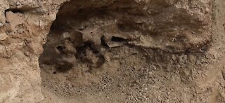 BACKYARD BONES: Las Vegas pool installation reveals 14,000-year-old surprise