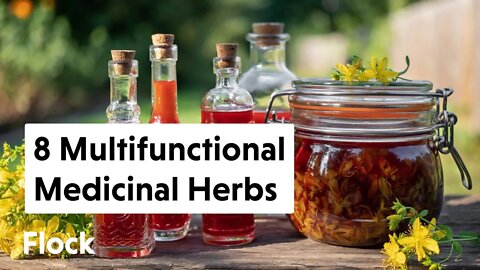 8 MULTIFUNCTIONAL MEDICINAL HERBS — Ep. 117