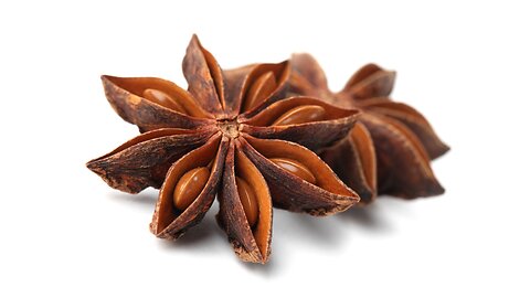 What is Star Anise? | Spice Factors #staranise #aniseed #anise