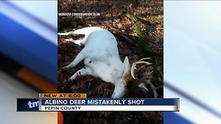 Albino deer accidentally shot