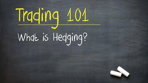 What is Hedging? (Stock Market 101)