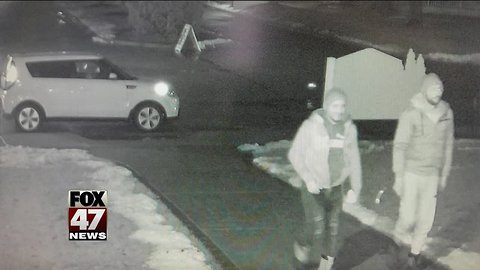 Two thieves caught on surveillance photo - DeWitt Township Police needs your help