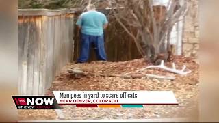 Man pees in yard to scare off cats