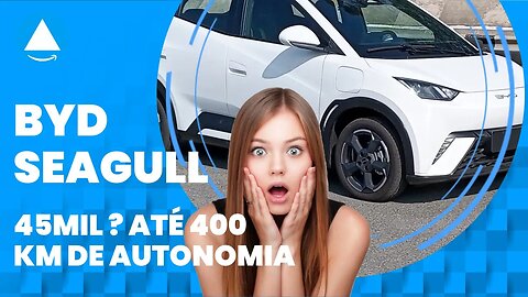 BYD Seagull - O Gaivota pode chegar bem antes - O Hatch compacto elétrico promete