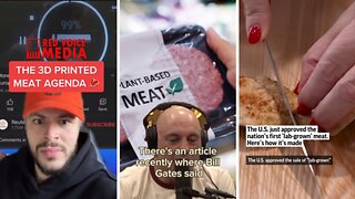 3D Printed Fake Meat | Bill Gates Wants Everyone To Eat 'Plant-Based' Meat