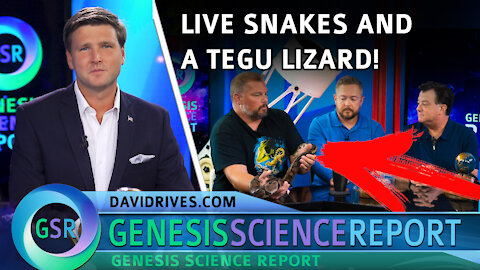 Genesis Science Report - New Astronomy Discovery + LIVE Lizards