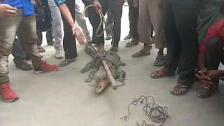 Un crocodile puni pour avoir attaqué un villageois