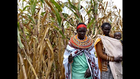 Mujeres que labran la tierra para producir paz