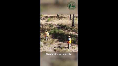 Hunting Gun Safety with Bennett | Altamaha River Sportsmas "Shorts"