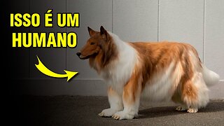 Japonês paga FORTUNA para SER cachorro