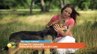 Pet Talk Tuesday – Dr. Stevens talks about Zoonotic diseases
