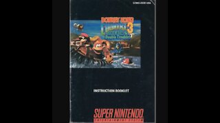 Donkey Kong Country 3 Dixie Kong's DT - Game Manual (SNES) (Instruction Booklet)