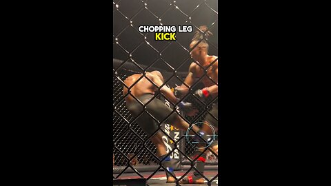 Wild KO Breakdown from Rise of A Warrior