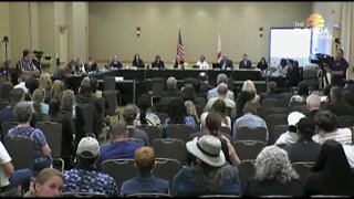 Trans Activists Interrupt Florida Board of Medicine Hearing