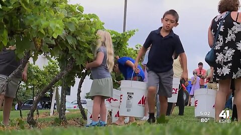 Liberty church continues tradition of harvesting grapes for communion wine