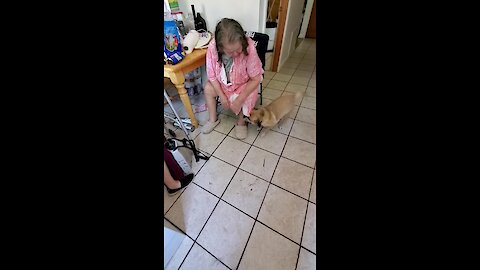 Dog Ecstatic After Owner Returns Home From The Hospital