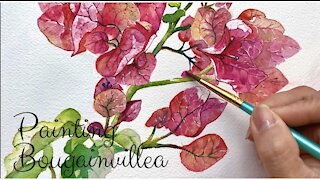 Painting Bougainvillea Flower in watercolor | Painting Flower