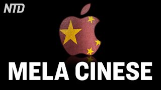 NTD Italia: Apple ex paladina della privacy.
