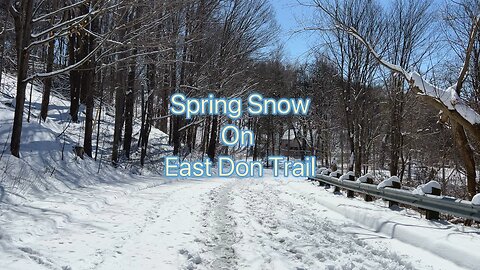 Spring Hike in Winter Wonderland | East Don Trail 1/5