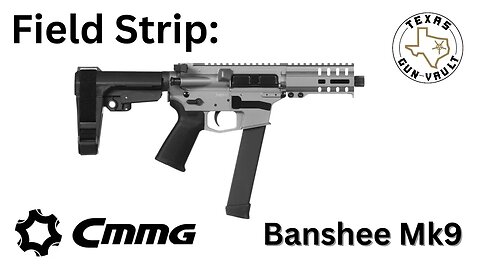 Field Strip: CMMG Banshee