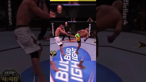 ANDERSON SILVA VS CHAEL SONNEN