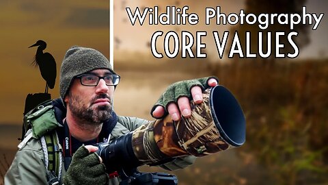 FIVE Wildlife Photography CORE VALUES you should Know