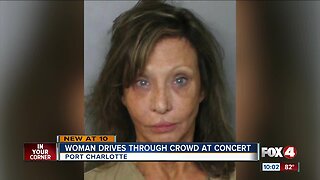 Woman drives through concert, hits at least two people