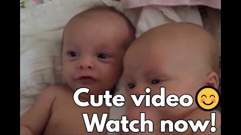 Top 10 Funny Baby Videos - So Cute!