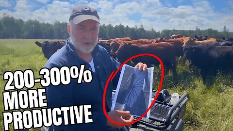 How to Divide Cattle Pasture for MAXIMUM Productivity