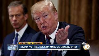 Trump: no final decision made on striking Syria