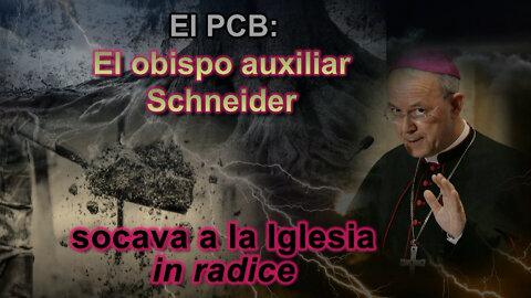 El PCB: El obispo auxiliar Schneider socava a la Iglesia in radice