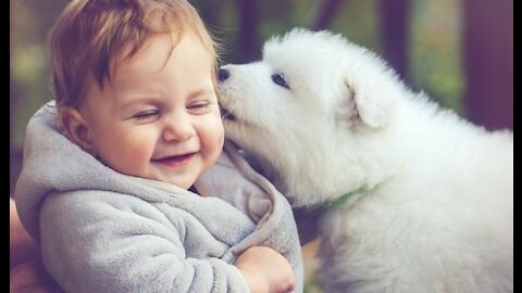 Babies and Dogs Playing Together