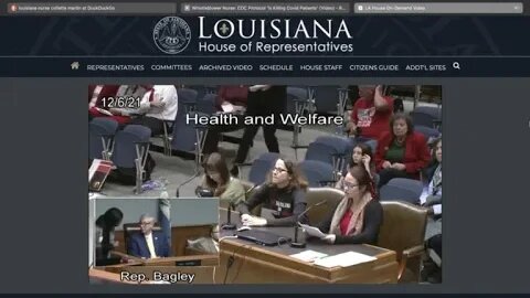 Colette Martin RN Testifies Before Louisiana Health and Welfare Committee Hearing