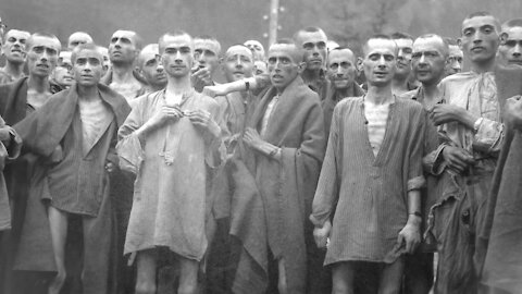Did the Political Prisoners of the Holocaust Live Politics?