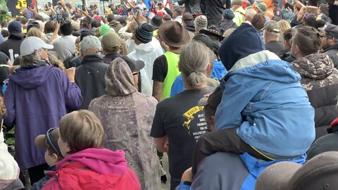 Day 7 of New Zealand Anti-mandate Protest at Parliament | Thousands Show Up!