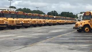 Pinellas County hiring school bus drivers | Digital Short