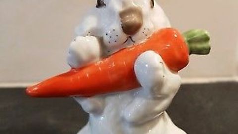 Rabit eating carrots