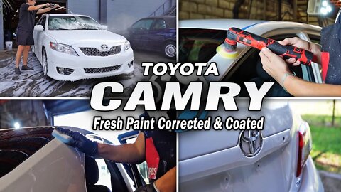 Toyota Camry | Fresh Flat White Paint Getting Corrected & Ceramic Coated!