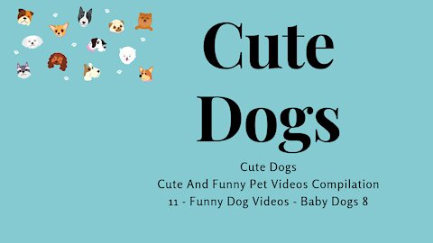 Cute Dogs Cute And Funny Pet Videos Compilation 11 - Funny Dog Videos - Baby Dogs 8