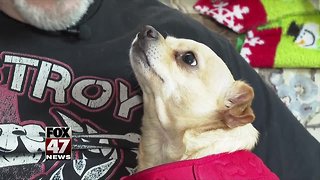 Support dog saves owner's life