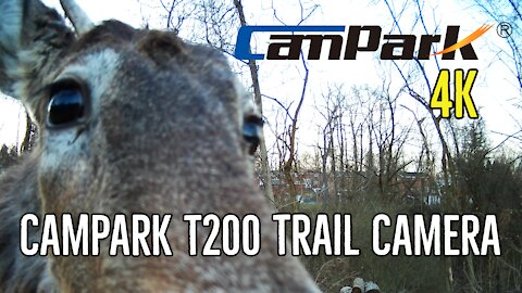 Campark T200 4K Trail Camera w/ Solar Panel - Full Review | Setup | Samples