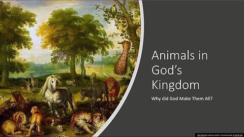 Aunt Marilyn : Childrens Story : Animals in God's Kingdom