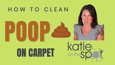Spot cleaning dog poop / feces from your carpet and rugs.