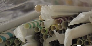 'Strawfiish' chipping away at plastic pollution