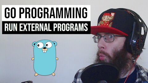 How to run other system commands from your Golang program